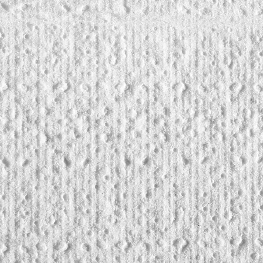 Blue Select Multi-Fold 2 Ply Paper Towel 9 1/5 X 9 2/5 White Absorbency Hand Drying Elegant Design Multipurpose 2000 Towels CT