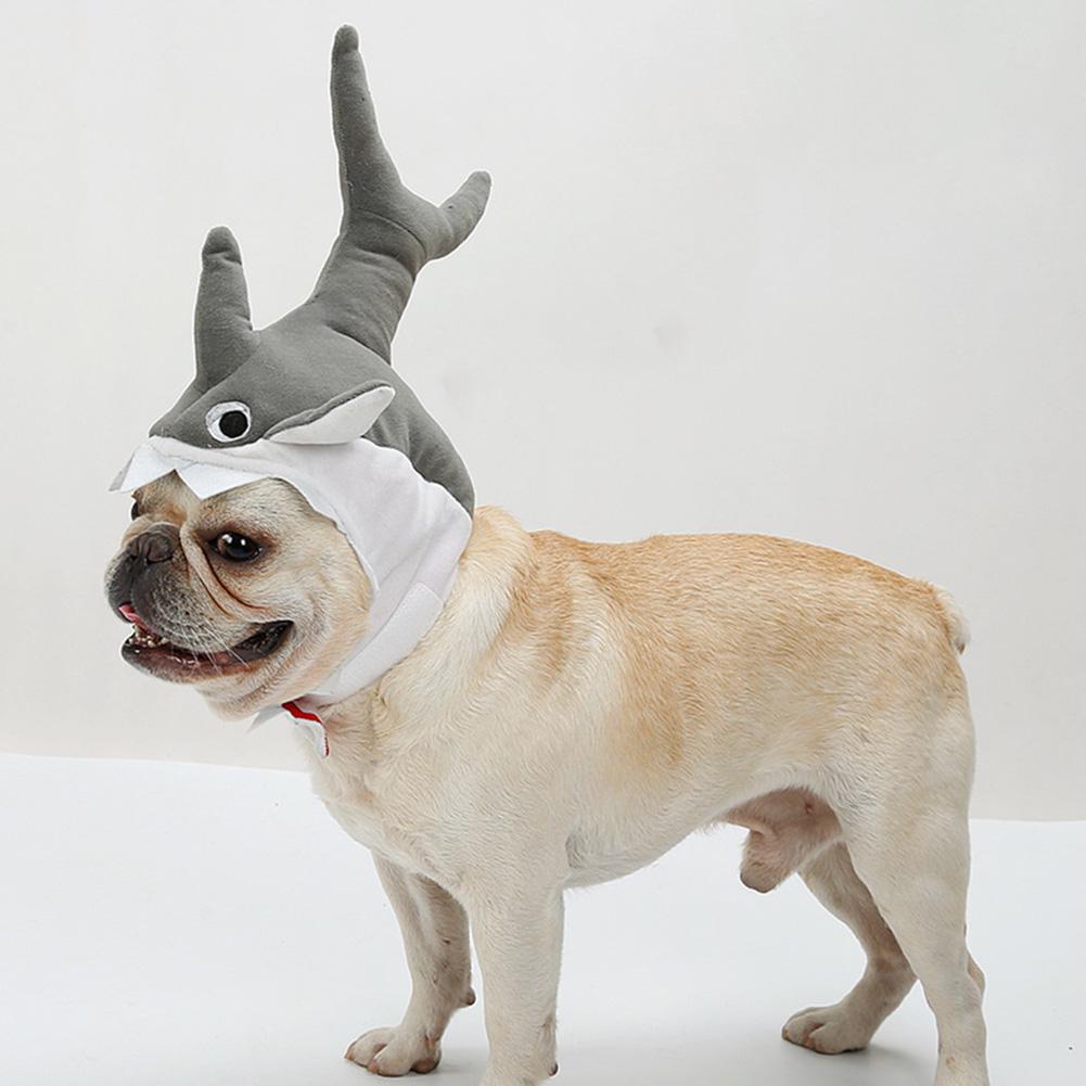 bulldog shark costume