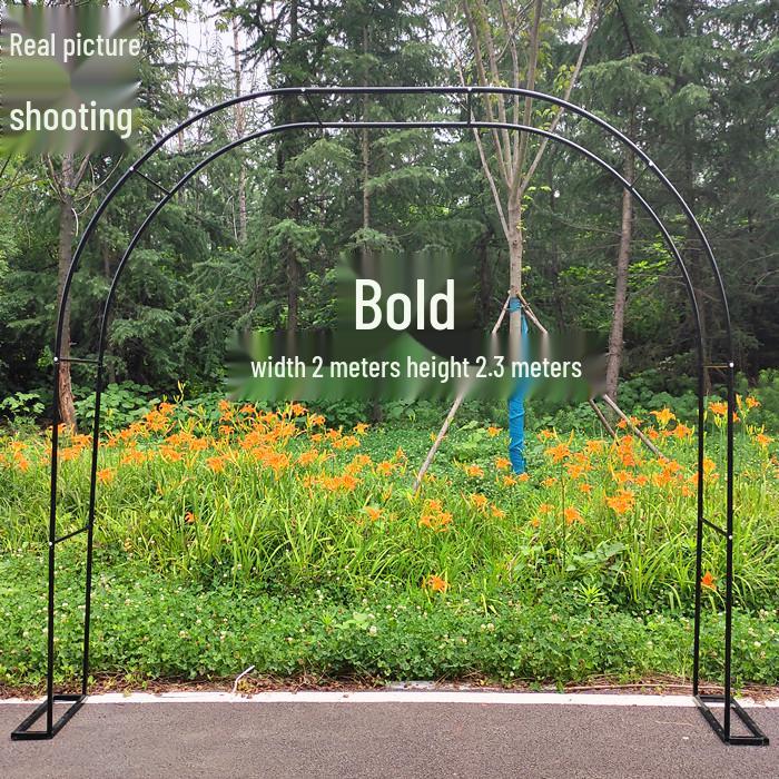 Junran European Style Courtyard Trellis for Climbing Plants and Roses