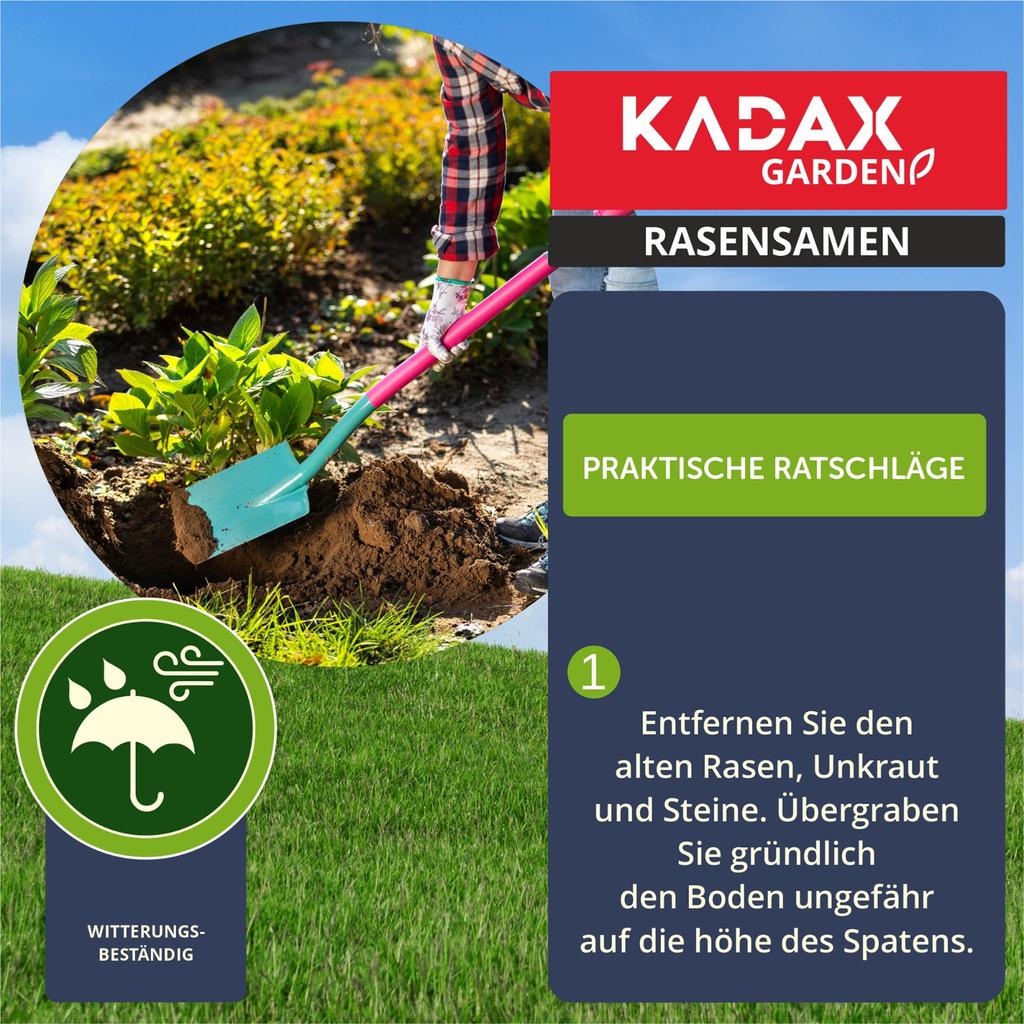 KADAX Trawa Sportowa Trawnik Samozagęszczająca 1 kg 40m2