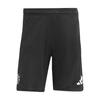 Mens 2025/2026 Manchester United FC Training Shorts