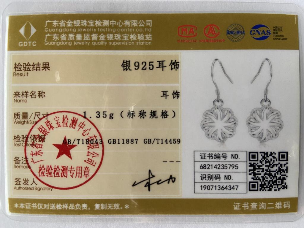925 Sterling Silver Fashion Earrings Beautiful Jewelry