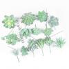 Diy Simulated Succulent Plant Hair Planting, Mini Fake Succulent Bonsai With Flowers, More Than 20 Styles Of Bn1