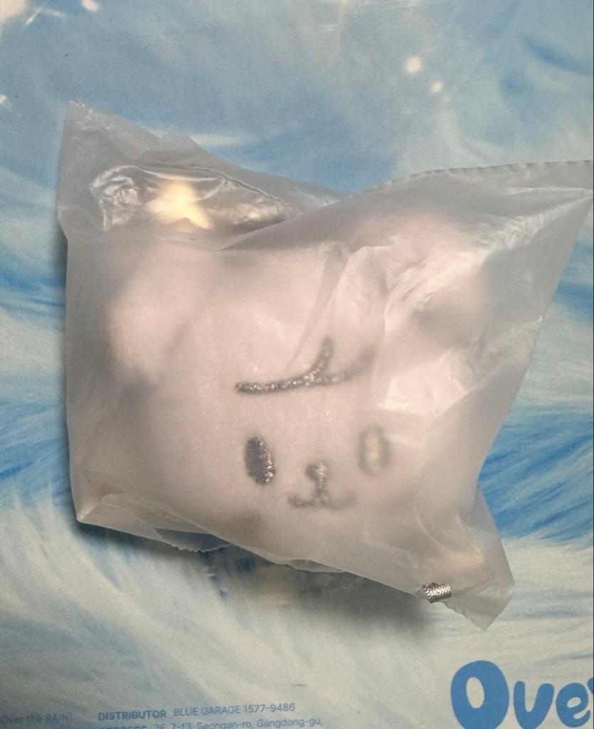 [USED] Straykids Korea Celebrate Popua Silver Key Ring