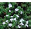 Artificial White Cotton Snowballs for Christmas Decorations
