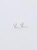 Still Instant Shell Spark Earring