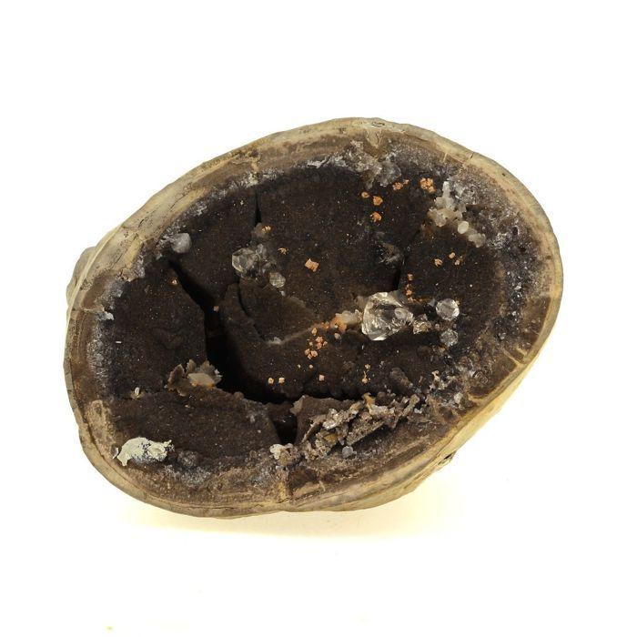 Pierres et Minéraux. Septaria, Quartz Diamant. 1360.1 ct. Ribiers, Hautes-Alpes, France. Rare.