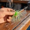 25PCS Floating Creature Bait 3.5 Inch Fishing Lures Lifelike Tentacle Bait  Freshwater