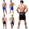 Men Water Resistant Sumo Loincloth Underwear Elastic Waistband Side Split Panel Briefs Underpants for Halloween Theme Party Club Performance