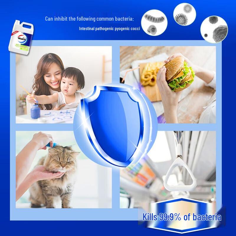 Walch Lime Antibacterial Foam Hand Wash Refill 5L