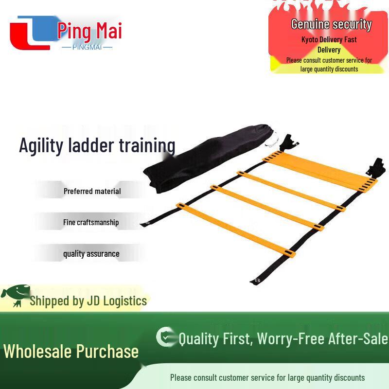 Sports Agility Training Ladder
