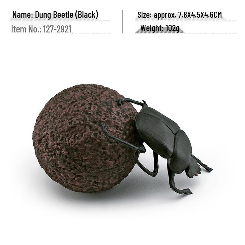 Cross-Border Insect Wildlife Dung Beetle Model: Children's Cognitive Sand Table Decoration