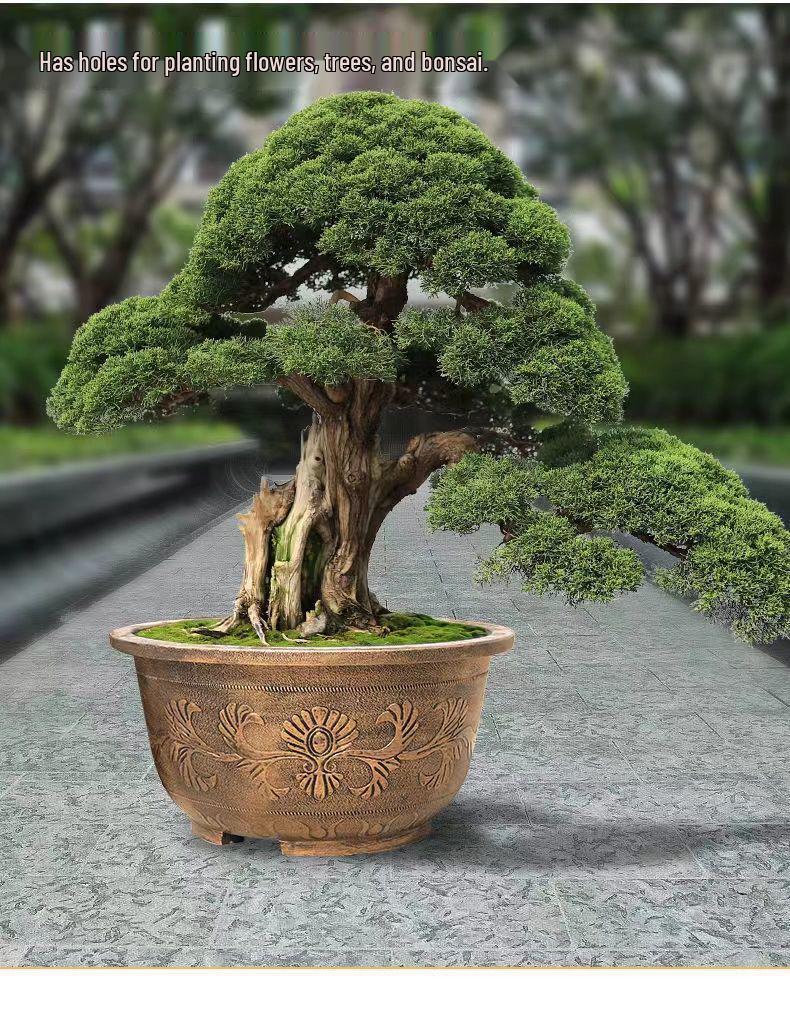 Large Resin Flower Pot for Cycad, Fruit Trees, Lotus, Balcony & Courtyard Planting