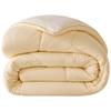 Hengyuanxiang Class A Antibacterial Brushed Thermal Winter Comforter