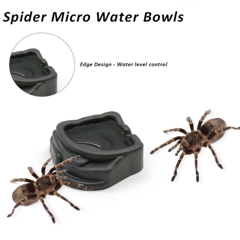 6pack Plastic Feeding Dishes for Small Pet Such As Spiders and Hermits Crabs with Simple Maintenance and Safe