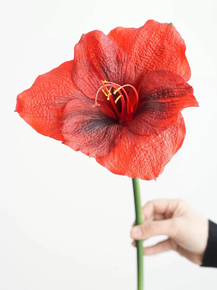 Flori Roșii Artificiale Mari Tije Lungi Flori Clivia Roz Nuntă Roșu Anul Nou Crăciun Decorațiune Casă