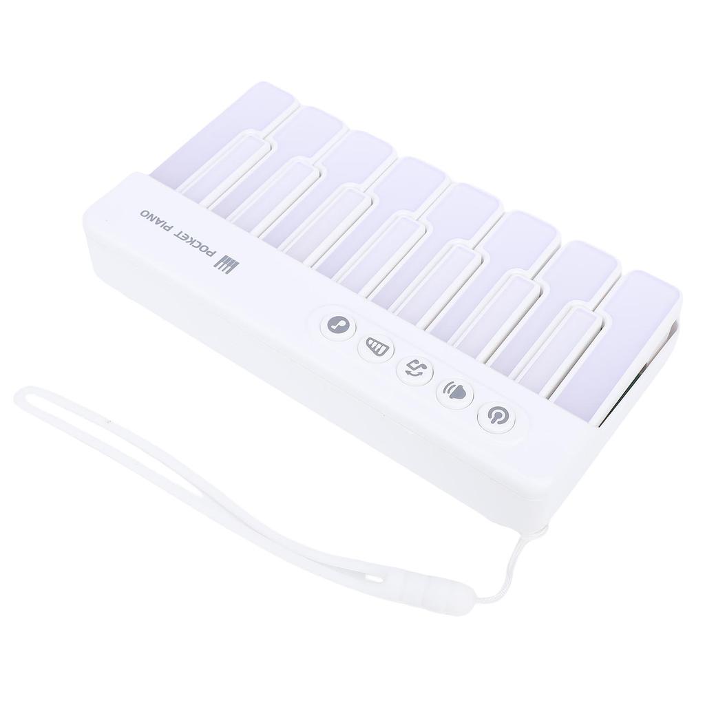 Light Up Piano Keyboard Toy Music Interactive Toddler Musical Toy Battery Powered for 3 to 8 Years Old Kids