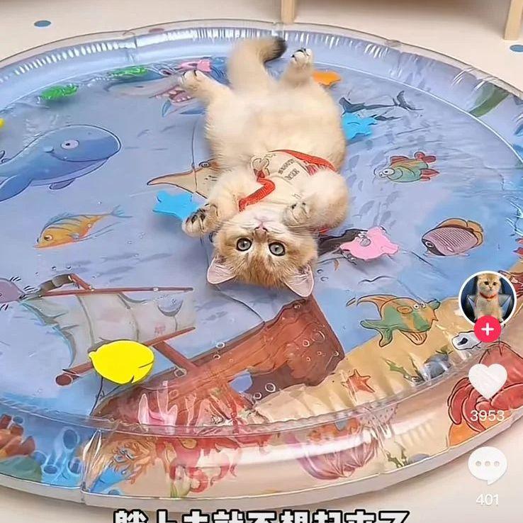 

Подушка для льда и воды, летнее гнездо для домашних животных, гнездо для кошек, гнездо для собак, большое -Blum Ice Fun, интересное лето, летняя холодная ледяная подушка S
