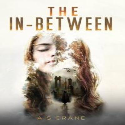 The InBetween by A S Crane Paperback Book 9781035837465