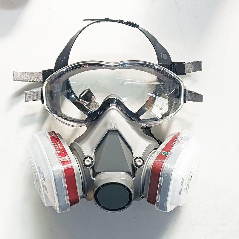Brangdy Full Face Respirator Mask