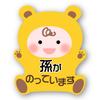 [Magnet] Baby Riding Safe Driving Sticker Grandson Bear Yellow M Size 5.4 X 4.3 Inches (138 X 111 Mm)