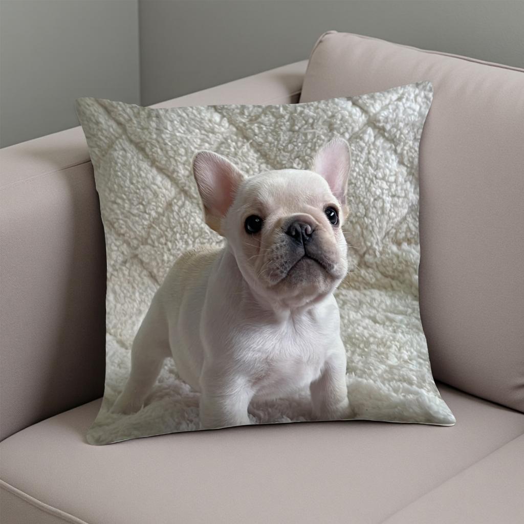 1pc Pillowcase, Playful French Bulldog, Machine Washable, 45.72 X 45.72 cm, Soft And Smooth Texture Polyester Short Plush Fabric, Single-Sided Printed
