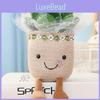 Plant Succulent Plush Doll Cartoon Potted Child Toy Room Decoration Holiday Gift