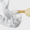 New Pet Double-Headed Toothbrush Soft Silicone Brush Head for Dogs Cats Oral Care