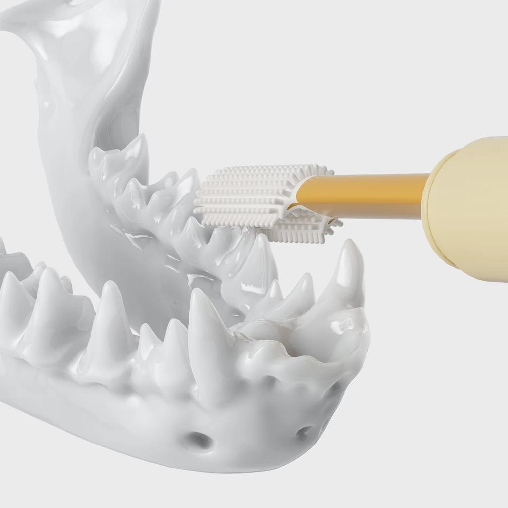 New Pet Double-Headed Toothbrush Soft Silicone Brush Head for Dogs Cats Oral Care