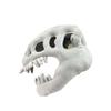 Dinosaur Skeleton Costume Set Halloween Dinosaur Themed Cosplay Props 3D Dino-Saur Skeleton Design