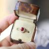 New Silver Inlaid Crystal Flower Ruby Rings for Women Exquisite Opening Adjustable Design Light Luxury Creative Wedding Jewelry