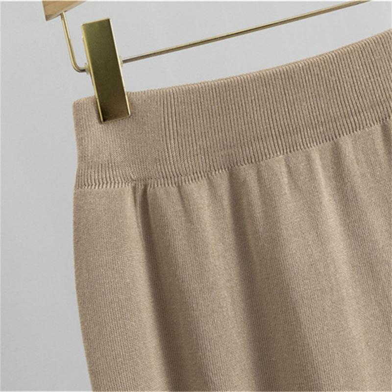 Spring and Autumn Women's Lantern Long Sleeve Hip Wrapped Half Skirt Two Piece Suit Style Temperament Set