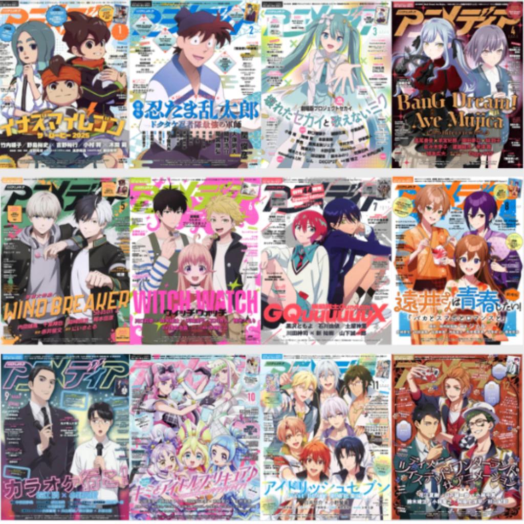 Gebrauchte Animedia Magazine 2025 Monatsausgaben – 1 bis 12 – 12 Typen wählbar / Japanisches Anime-Magazin