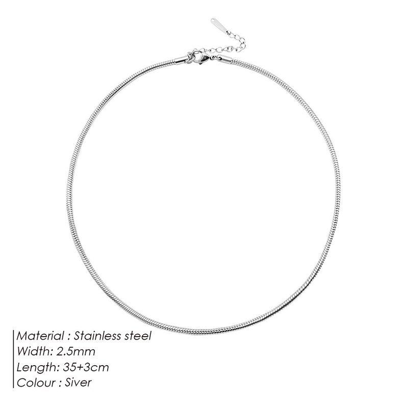 Steel Necklace Round Snake Chain for Women Simple Light Luxury Plain Chain Couple Clavicle Chain European and American Fashion Snake Bone Chain