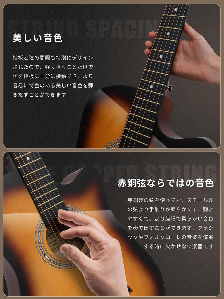 17-Piece Acoustic Guitar Set for Beginners, Practice Guitar, and Soft Case Included (LGJT-RL2405-A)