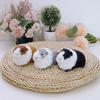 Simulationsfell Meerschweinchen Katze Tier Plüschtier Stofftier Hamsterpuppe Plüschtier Weiche Stofftierfigur Als Geburtstagsgeschenk