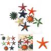 Authentic Sea Star Animal Models For Kids Educational Beach Toys Colorful Pvc Set