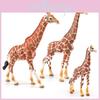 Jungle Animal Giraffe Sculpture Pvc Static Model For Childrens Room Decor And Learning