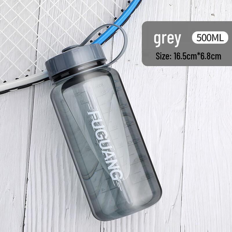 Fuguang Portable Anti-Drop Sports Bottle (Glass Liner)
