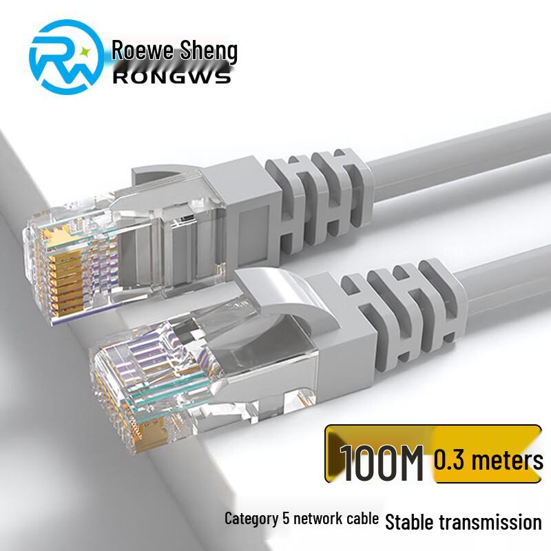 Rongweishing Cat5 100Mbps RJ45 Ethernet Patch Cable