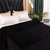 Solid Color Blanket with Thickened Fleece Suitable for All Seasons Machine Washable
