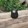 Handgeschnitzte Bärenfigur aus massivem Holz Mini Dekoration für Zuhause Kaffeetisch Geschenk für Tierkunstsammler