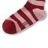 MARGESHERWOOD METAL STRIPE SOCKS_red stripe