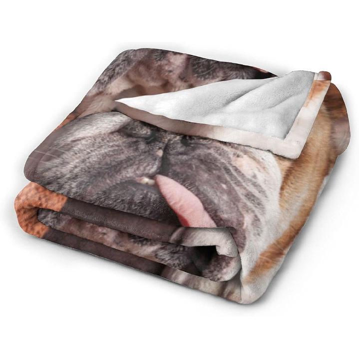 English Bulldog Dog Brown Couch Blanket for Kids Adults Women,Soft Fleece Throw Blanket Cozy Bed Blankets King Size for Couch Bed Travel Camping