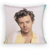 HHaRRyS Singer SStyles Pillow Case Antidustmite Pillowcase Invisible zipper silky short plush Sofa cushion cover