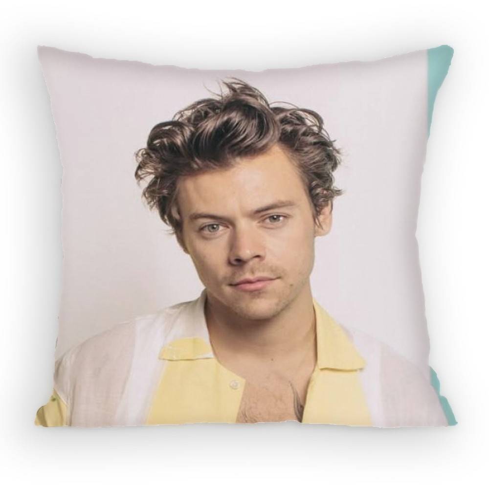 HHaRRyS Singer SStyles Pillow Case Antidustmite Pillowcase Invisible zipper silky short plush Sofa cushion cover