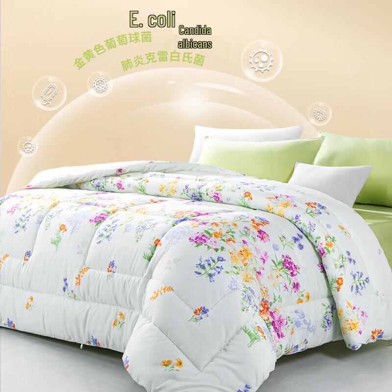 FUANNA Comfort Core 7-Hole Fiber Winter Quilt