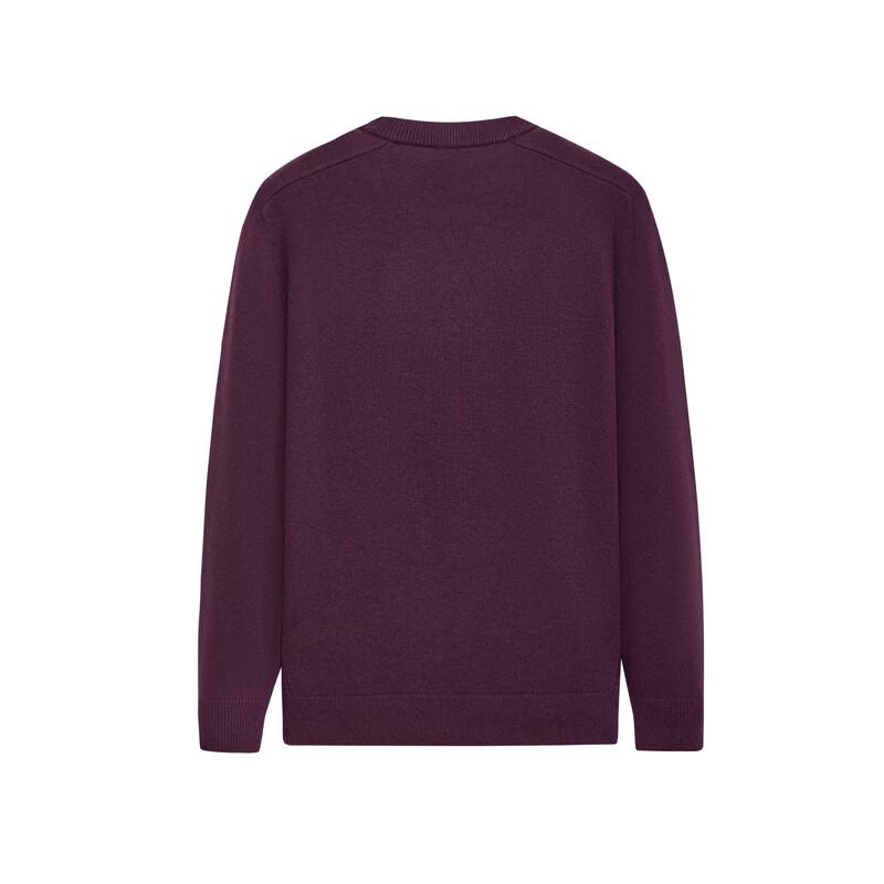 JOEONE Men's Slim-Fit Wool Blend Crew Neck Sweater