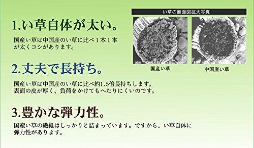 IKEHIKO "F Varias" Japanese-Made Igusa Rug, Brown, Approx. 191 x 191 cm (Urethane Backing)