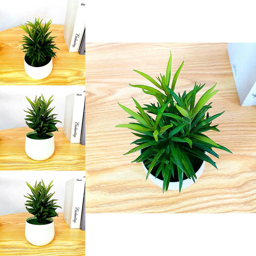 Fake Succulent Plant Pot With Pvc Material For Home Decor And Office Display